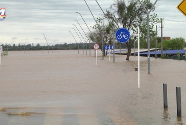 En Paysandú el río podría llegar a 7.90 de acuerdo a últimas proyecciones; creció 3 cm en las últimas 24 horas