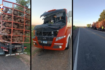 Ómnibus que trasladaba selección sub 18 de Paysandú chocó con camión en ruta 3; tres lesionados leves