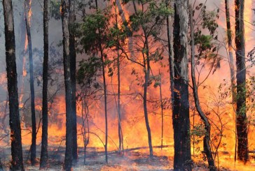 Sinae actualizó información sobre incendios forestales en el país